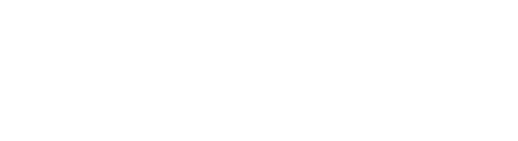 Visoinet